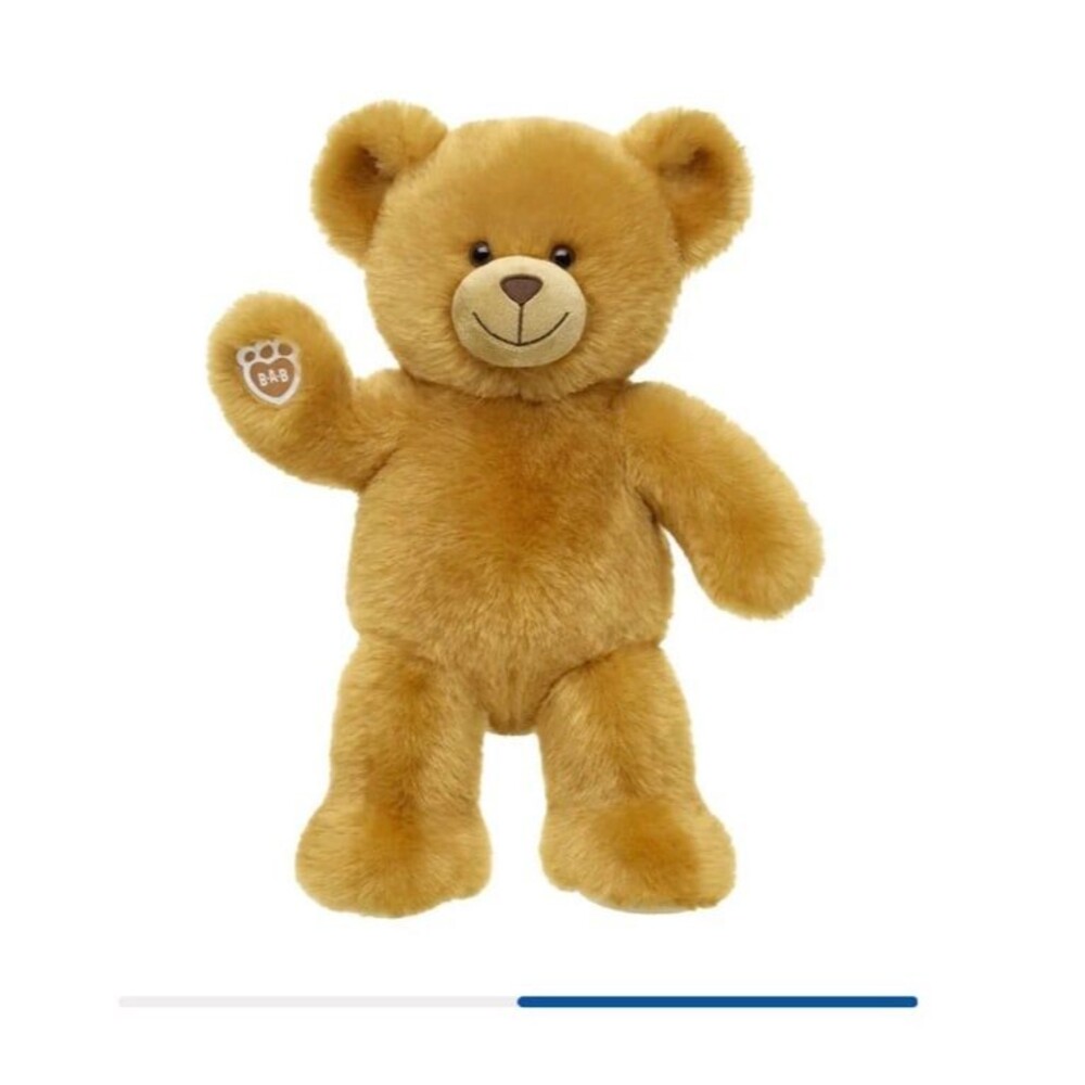 Build-A-Bear Read Bear
